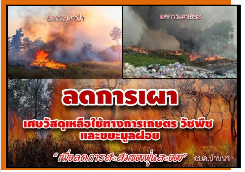 รณรงค์ลดการเผาในที่โล่งเพื่อลดฝุ่นละอองในอากาศ